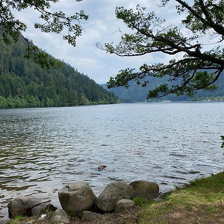 Charmant Chalet, Spacieux, Proche Du Lac, Vue Sur La Montagne جوراردُميه المظهر الخارجي الصورة