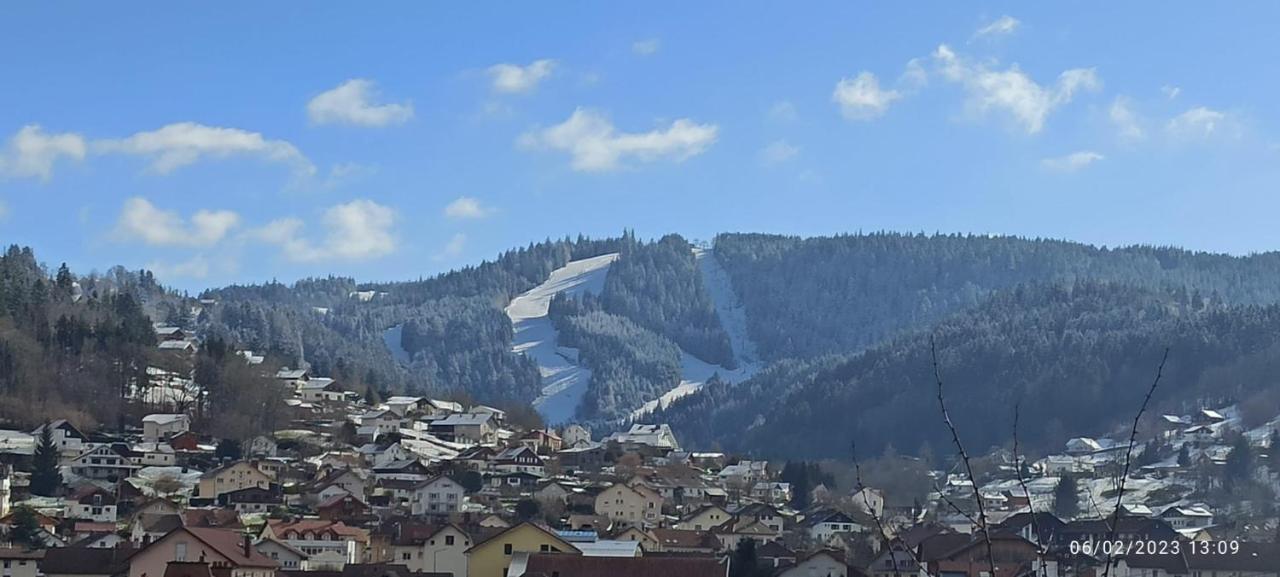 Charmant Chalet, Spacieux, Proche Du Lac, Vue Sur La Montagne جوراردُميه المظهر الخارجي الصورة