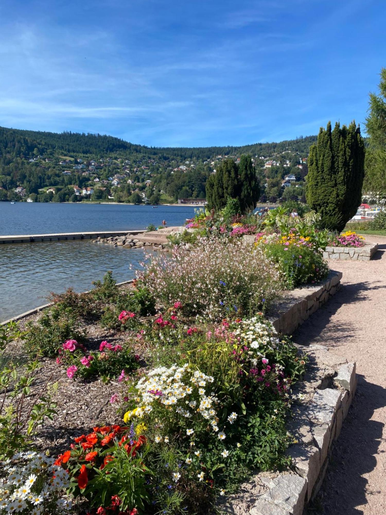 Charmant Chalet, Spacieux, Proche Du Lac, Vue Sur La Montagne جوراردُميه المظهر الخارجي الصورة