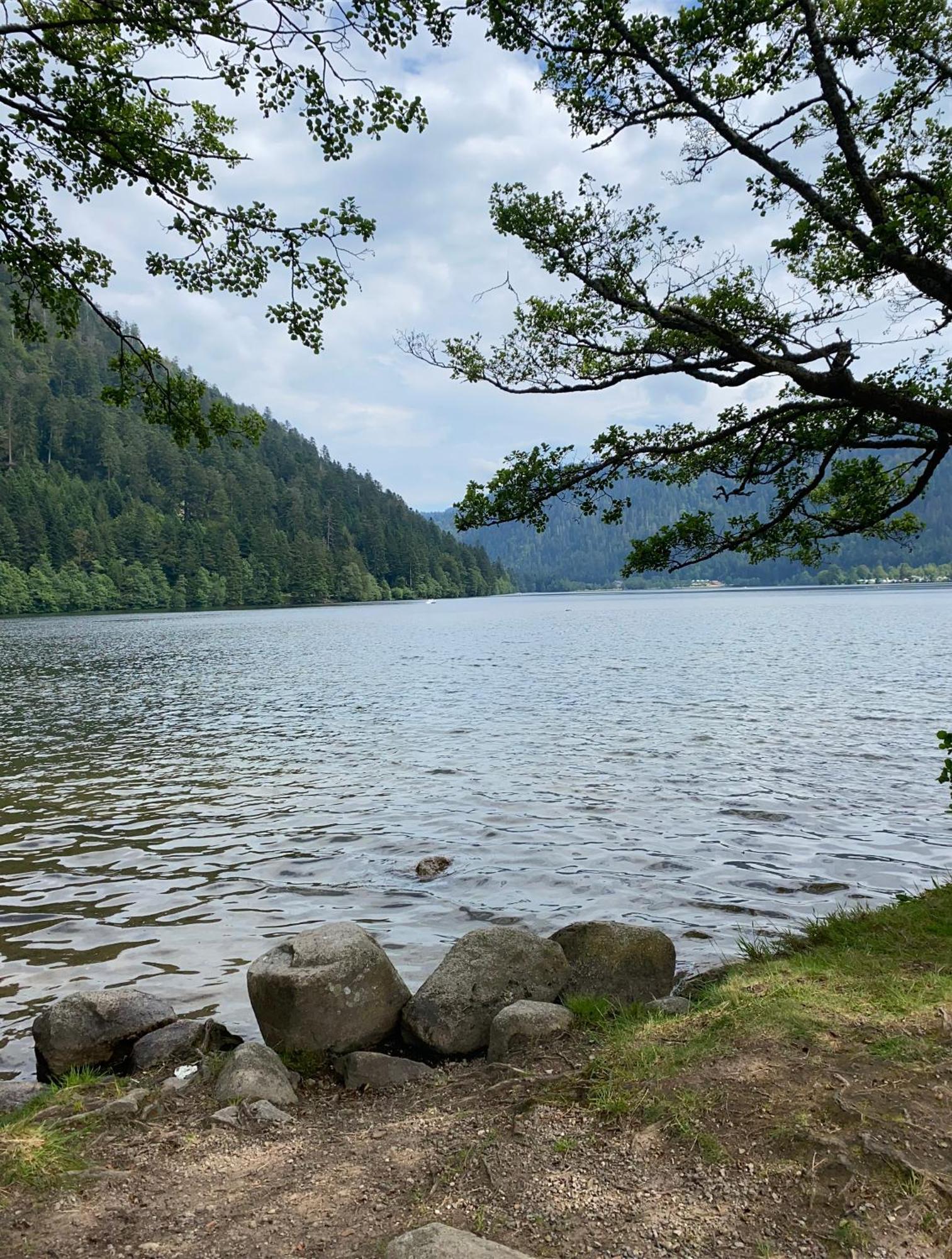 Charmant Chalet, Spacieux, Proche Du Lac, Vue Sur La Montagne جوراردُميه المظهر الخارجي الصورة
